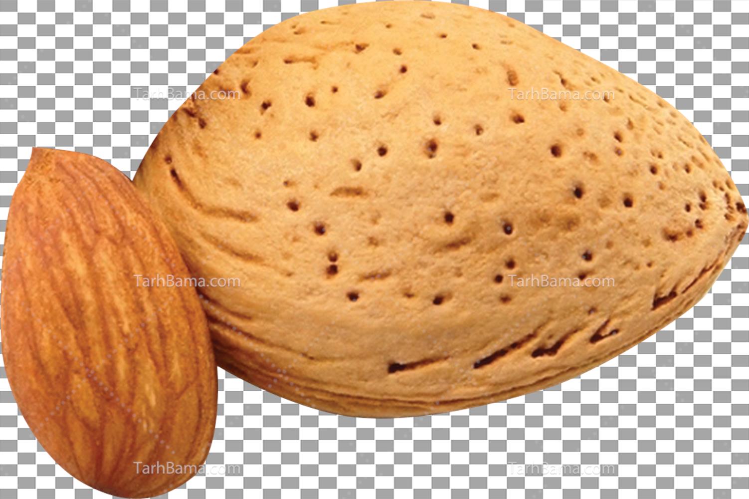 تصاویر آجیل و خشکبار